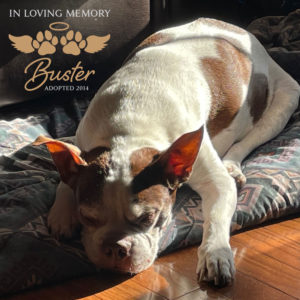 Buster