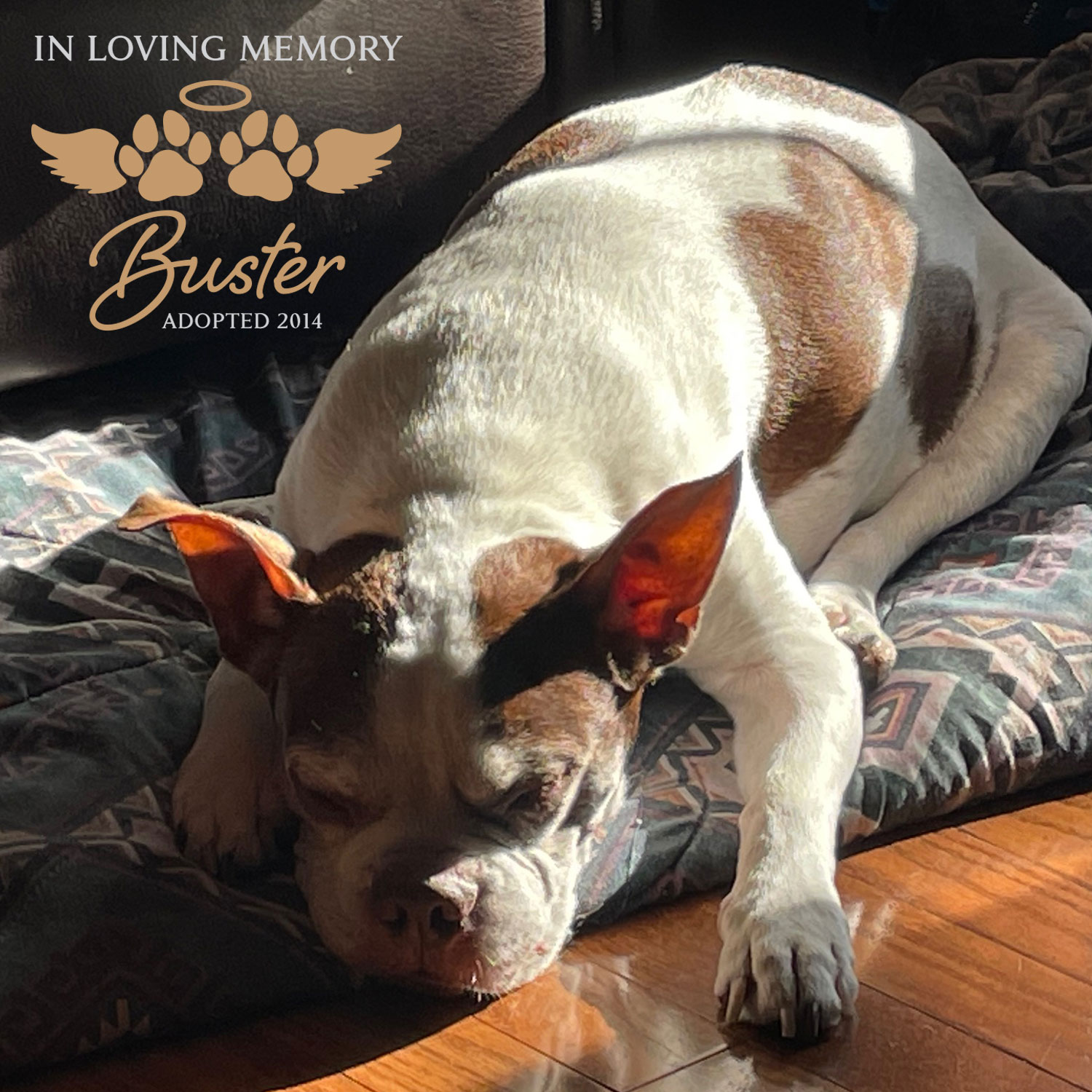Buster