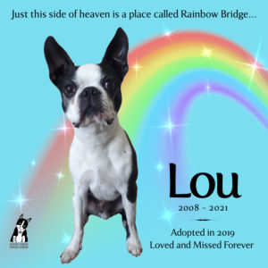 Lou