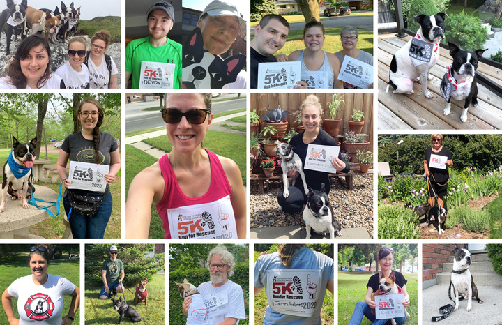 BTRC 5K Run for Rescues