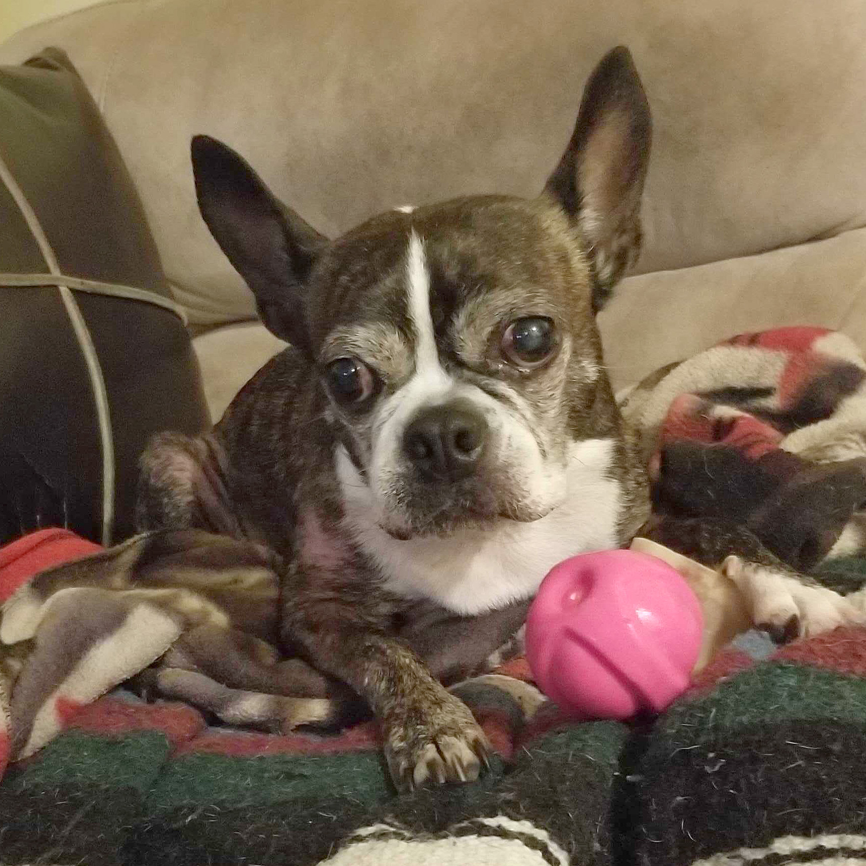 Lydia