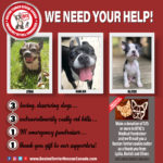 BTRC Emergency Fundraiser