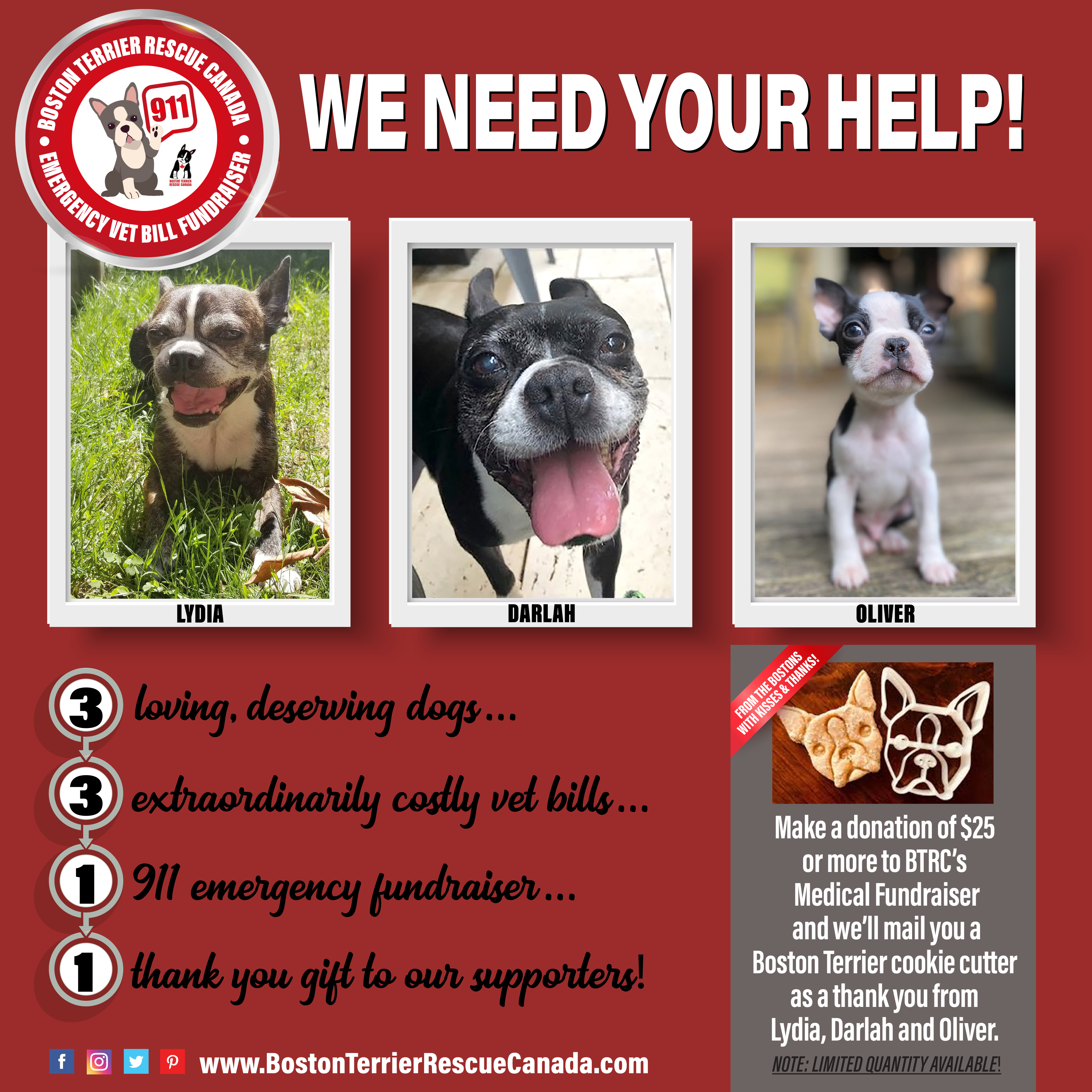 BTRC Emergency Fundraiser