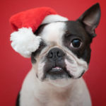 BT Christmas