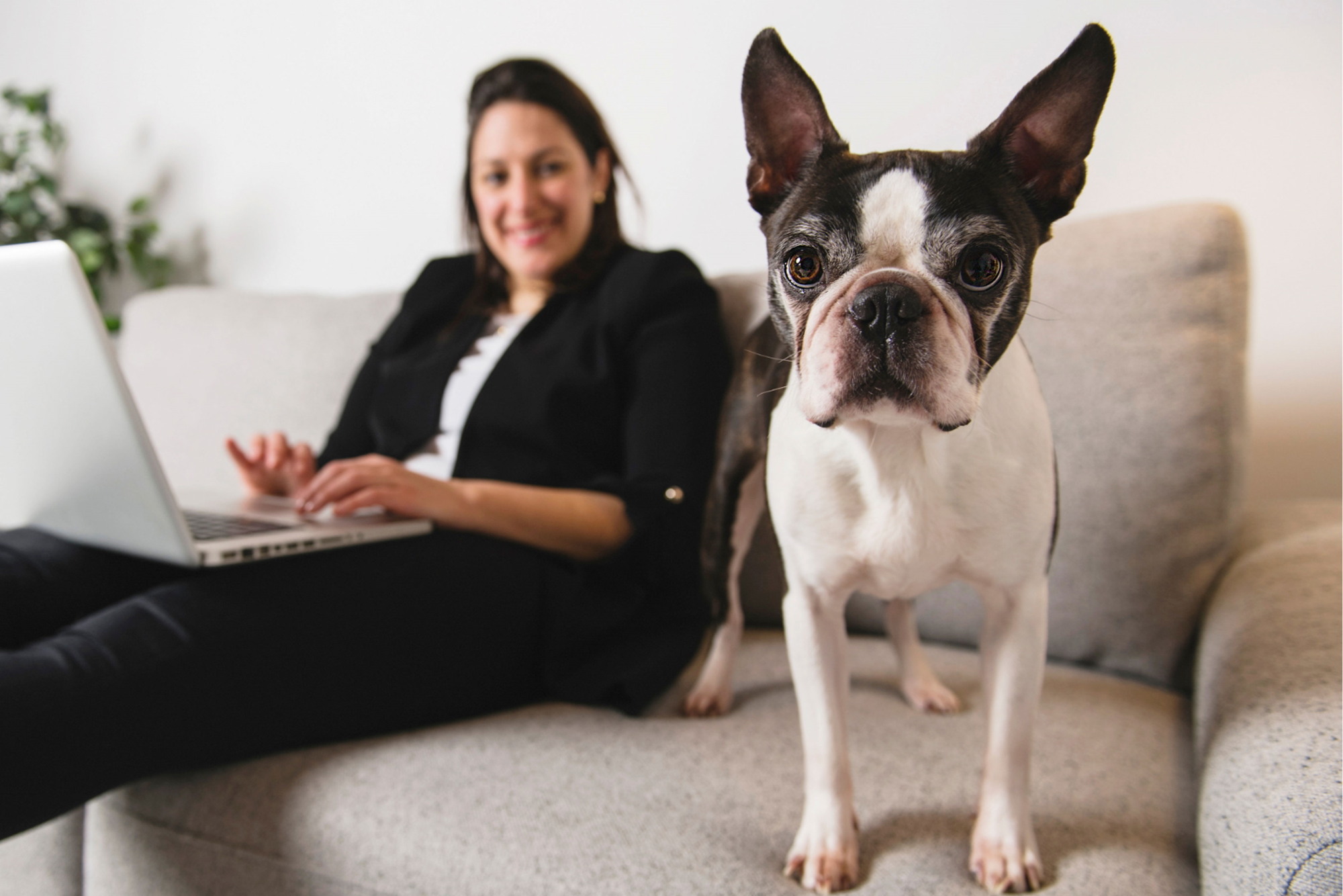 Work from home