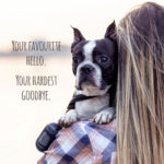 Pet Bereavement
