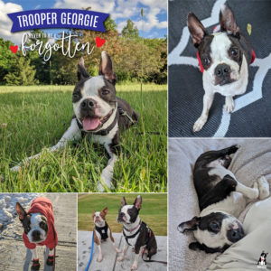 Trooper Georgie
