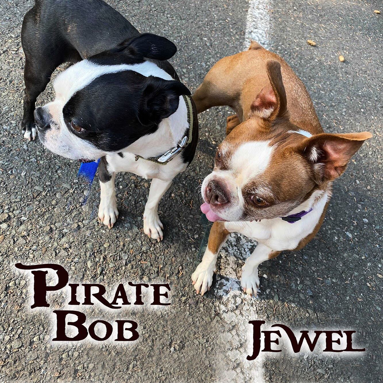 Pirate Bob & Jewel