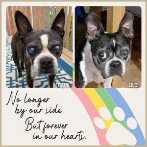 Frank & Lilo