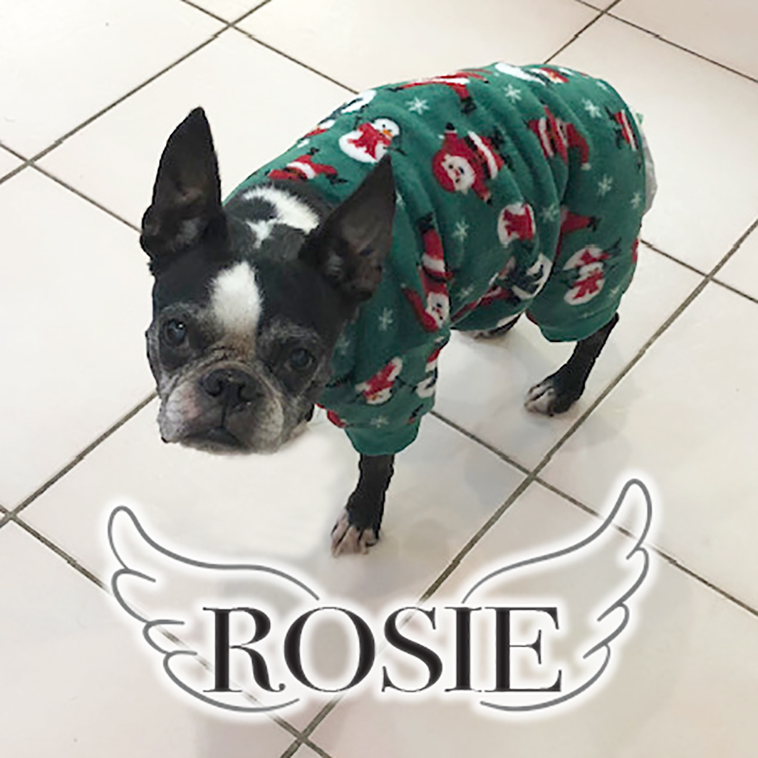 Rosie