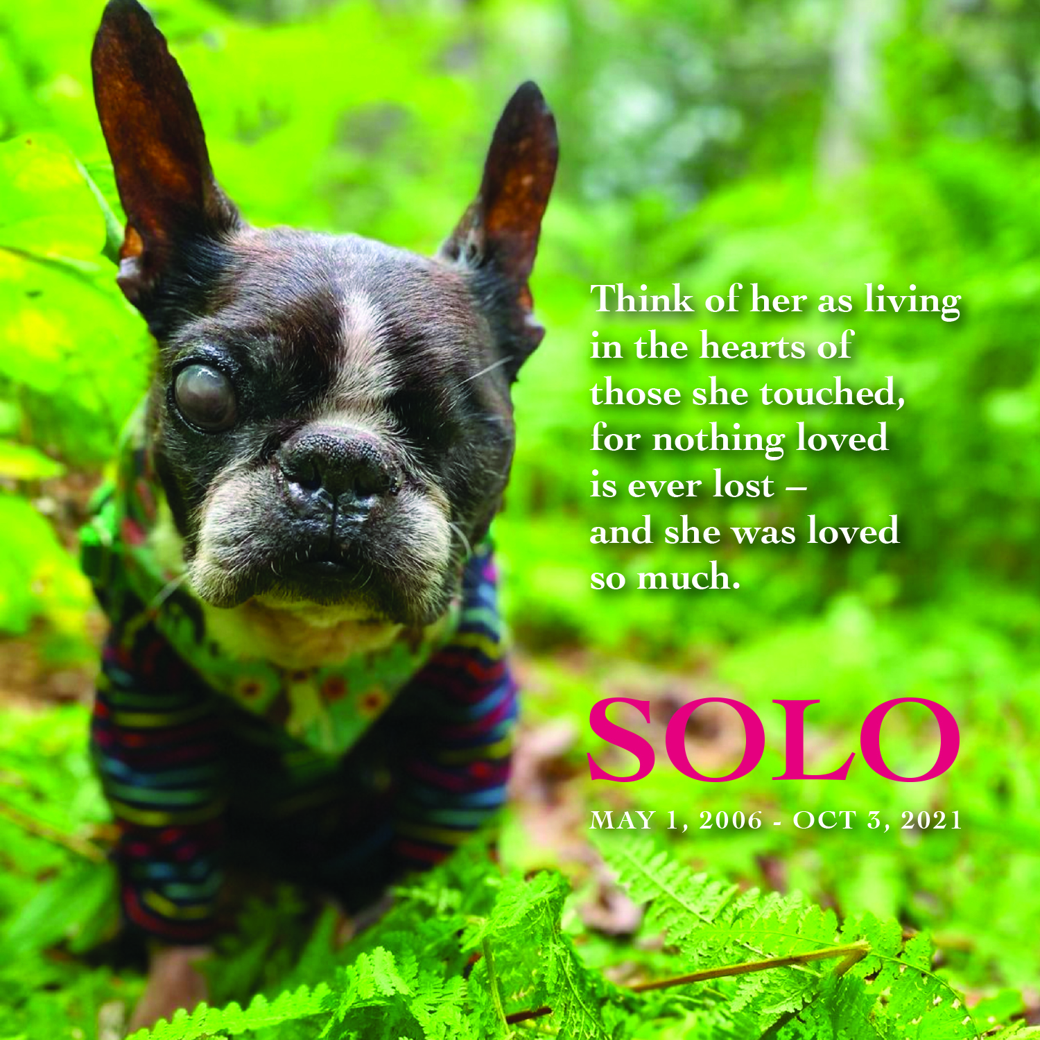 Solo