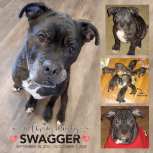 Swagger RIP