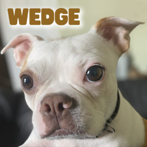 Wedge