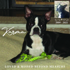 Karma In Memory